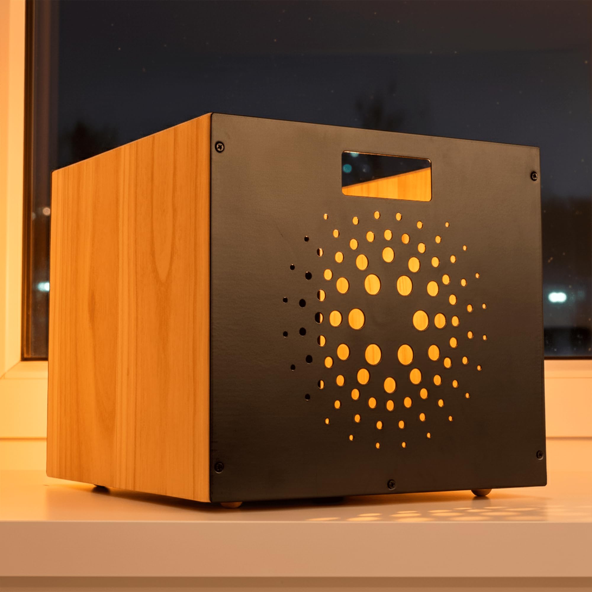 Schallplatten Aufbewahrung | Schallplatten Box aus Walnussholz Und Kohlenstoffstahl | Vinyl Storage für 50 LPs | LP Stand | Stapelbarer Record Holder | Schallplattenständer Holz