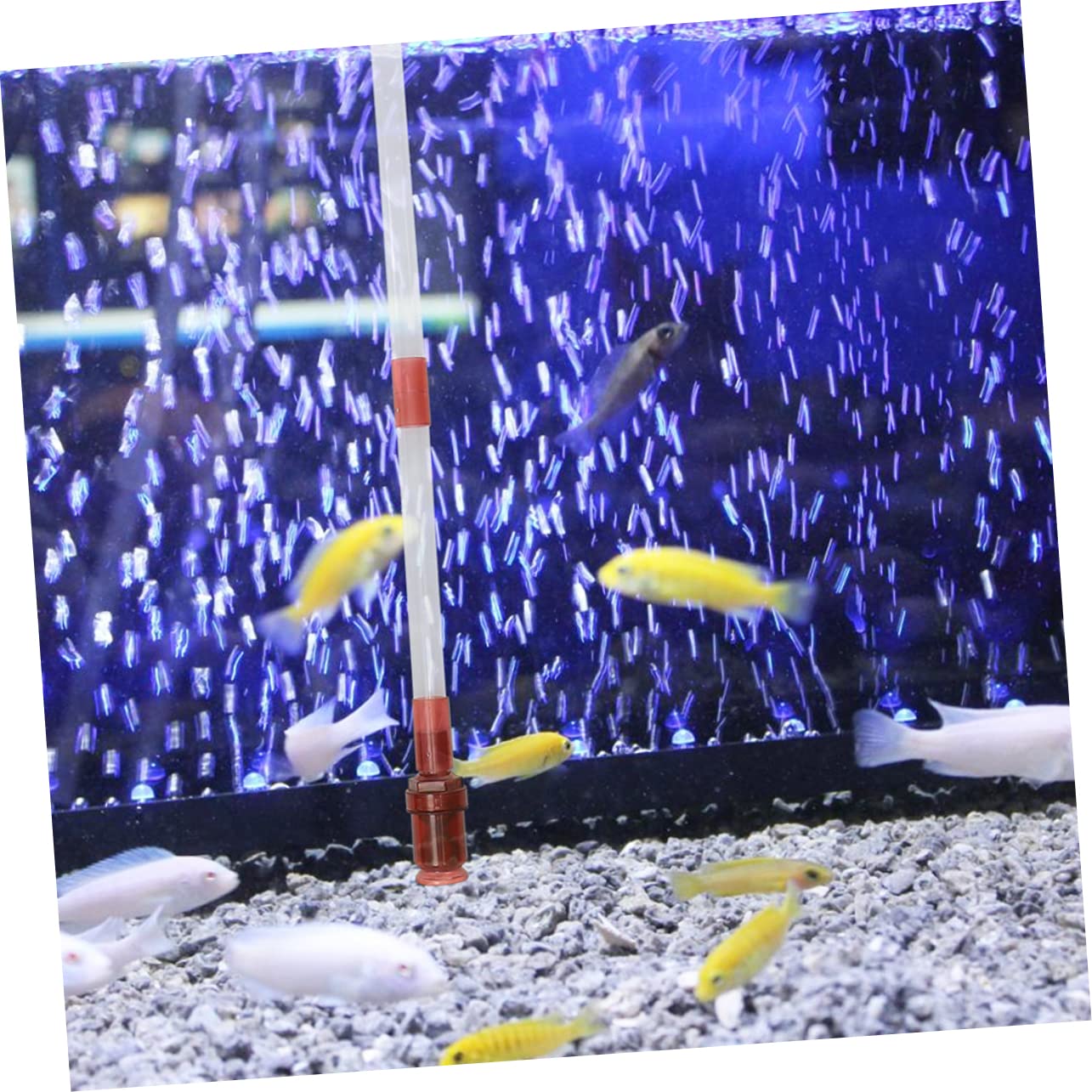 Sifón Limpiador de Portátil Cambiador de Agua Conveniente para Peceras Herramienta de Limpieza Diaria para de Peces de Usar y Práctico
