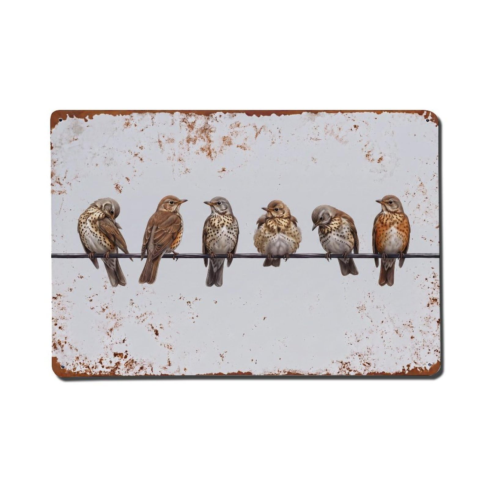 Vintage Retro Birds Mistle Thrush Metal Tin Sign