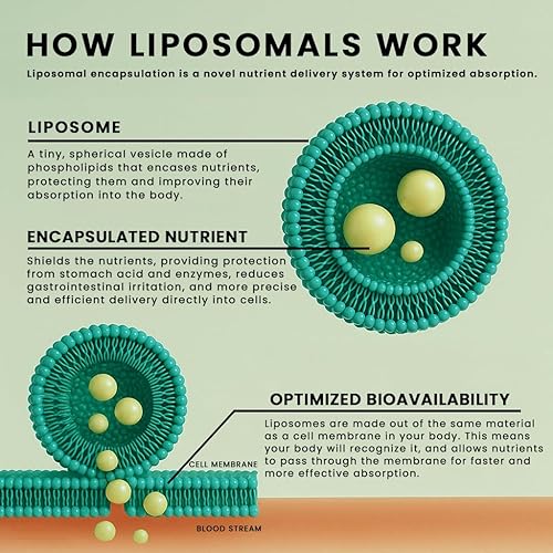 Miniatura 5 de Manna Vitamins Evolved Curcumina líquida liposomal para una absorción avanzada, el mejor suplemento de cúrcuma para apoyo diario de la salud