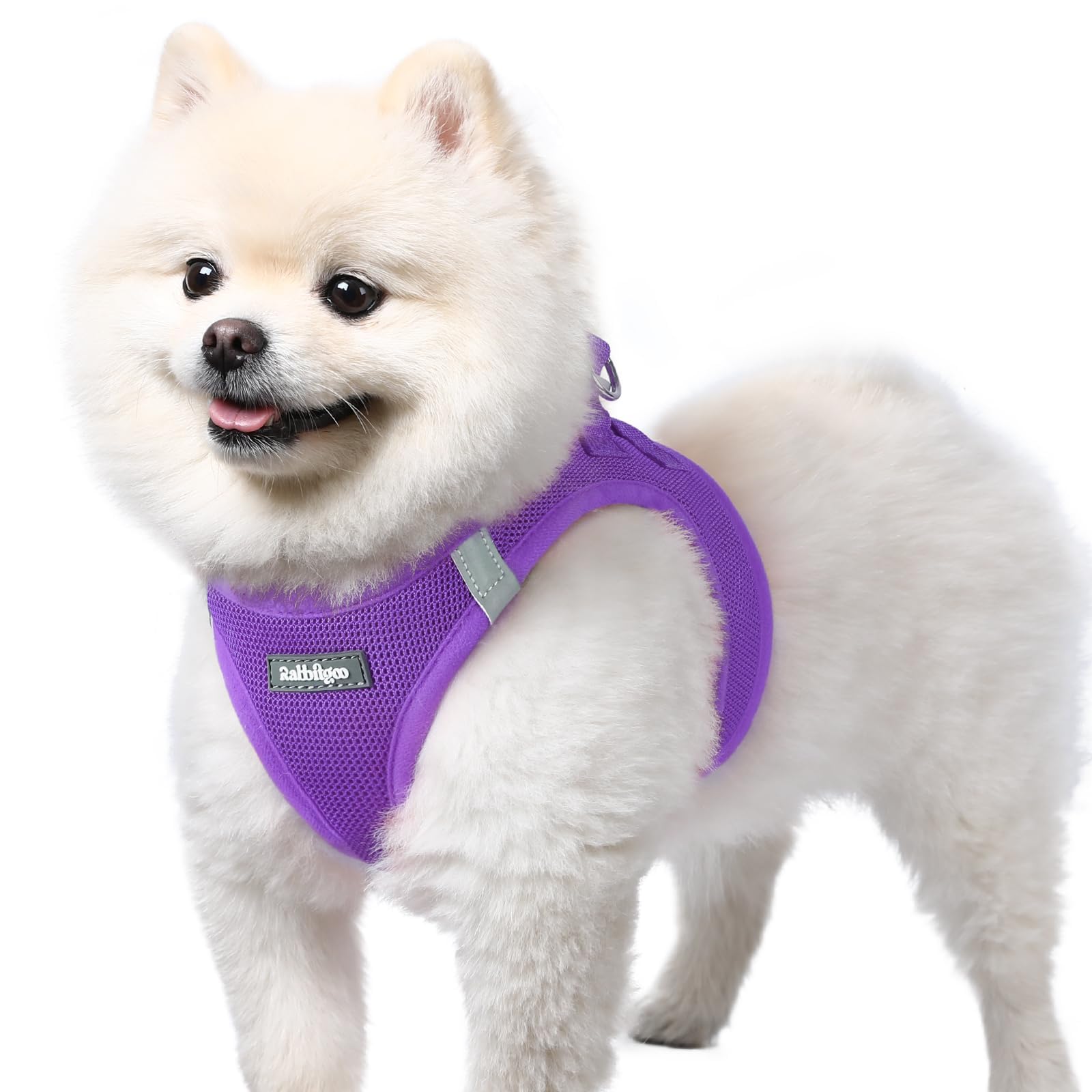 rabbitgoo Dog Harness Small Dog, Step-in Soft Mesh Puppy Harness with Reflective Strips, Lightweight Breathable Pet Vest for Walking Training, Purple, S