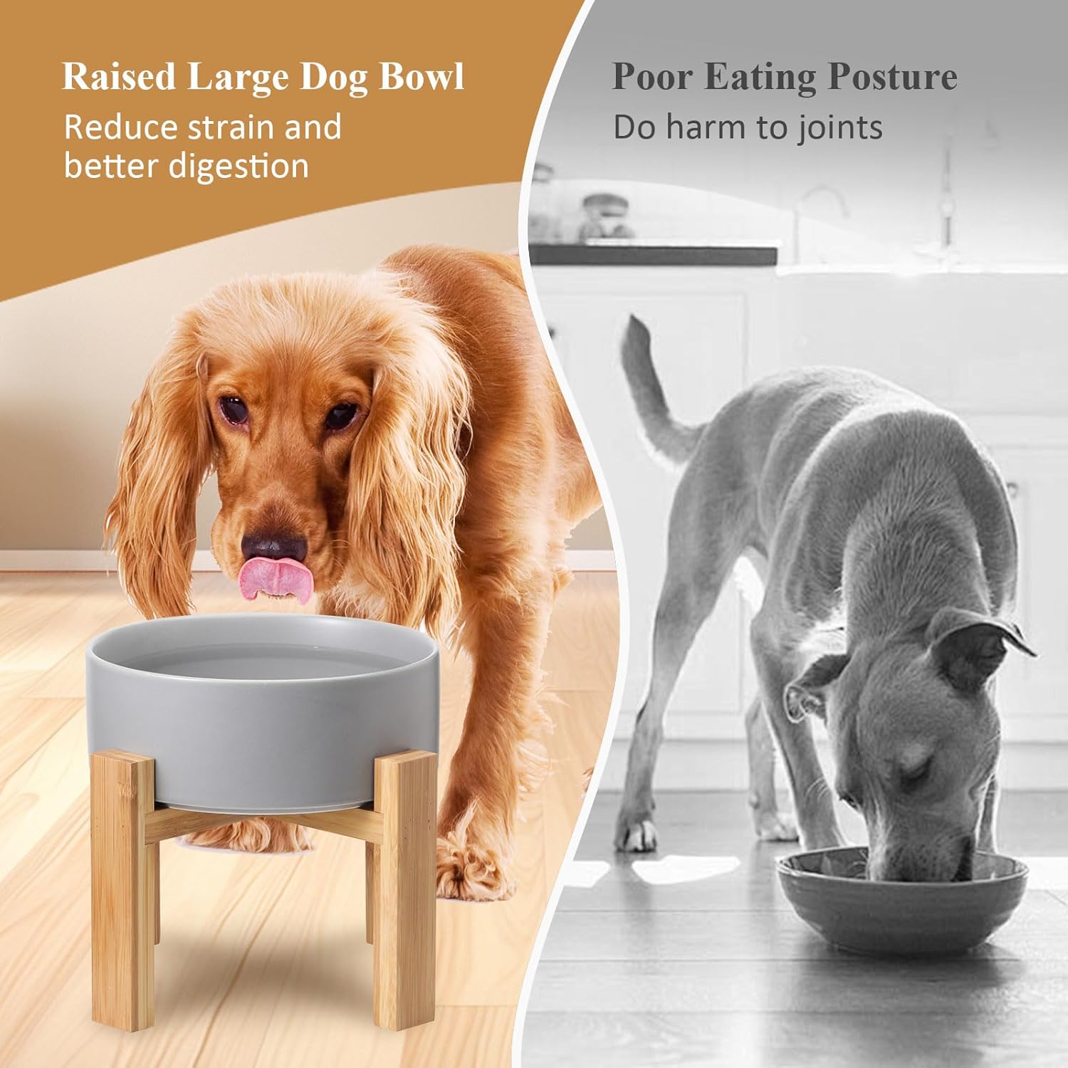 Style Meets Function: Review of the Elevated Ceramic Large Dog Bowl