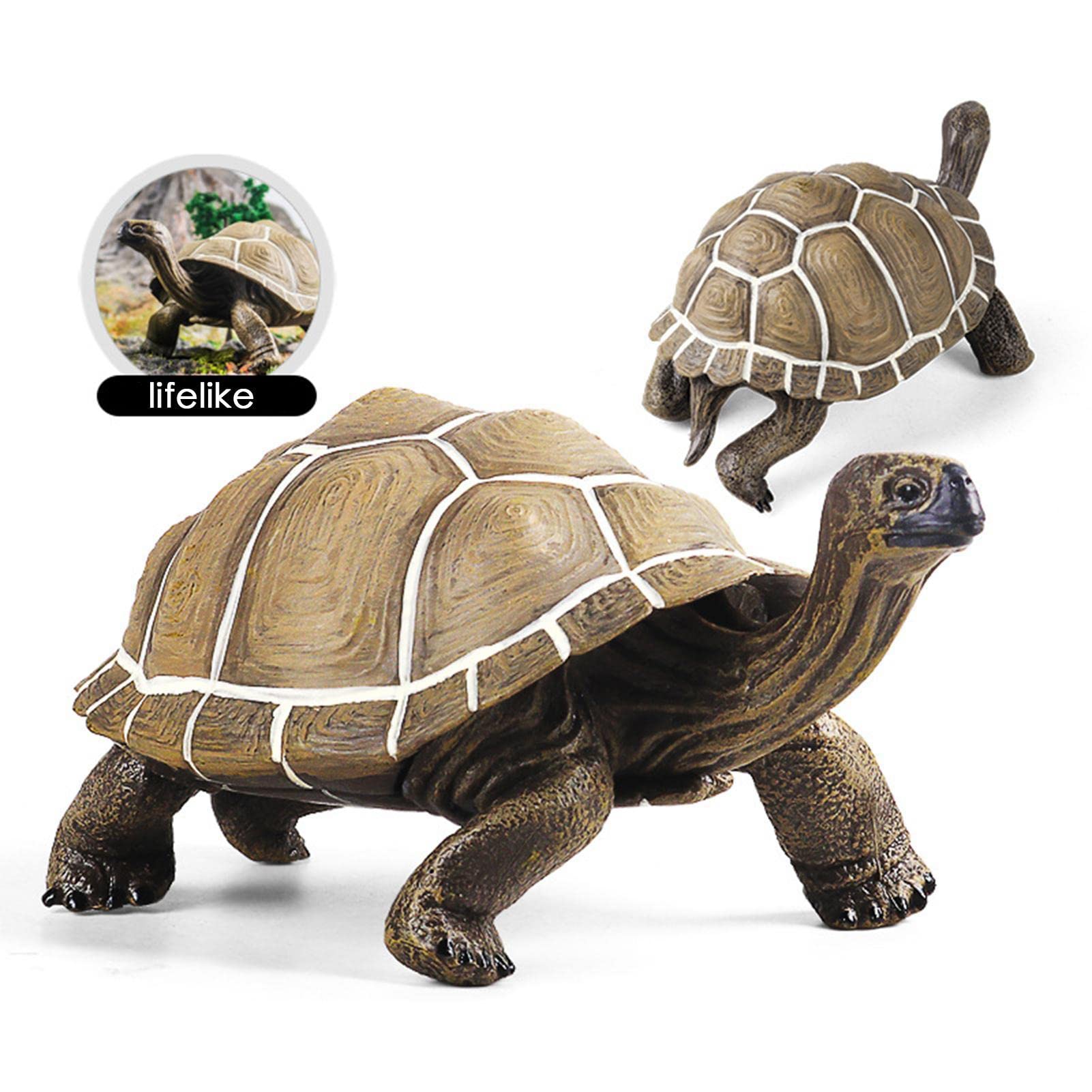 【美品】リアル フィギュア ゾウガメ 置物 親子セット Amazon.co.jp: ゾウガメのおもちゃ、ガラパゴスゾウガメ | ビスタ