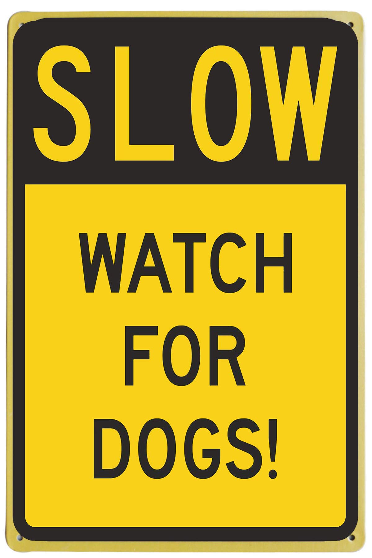 Can Dogs Run On The Road