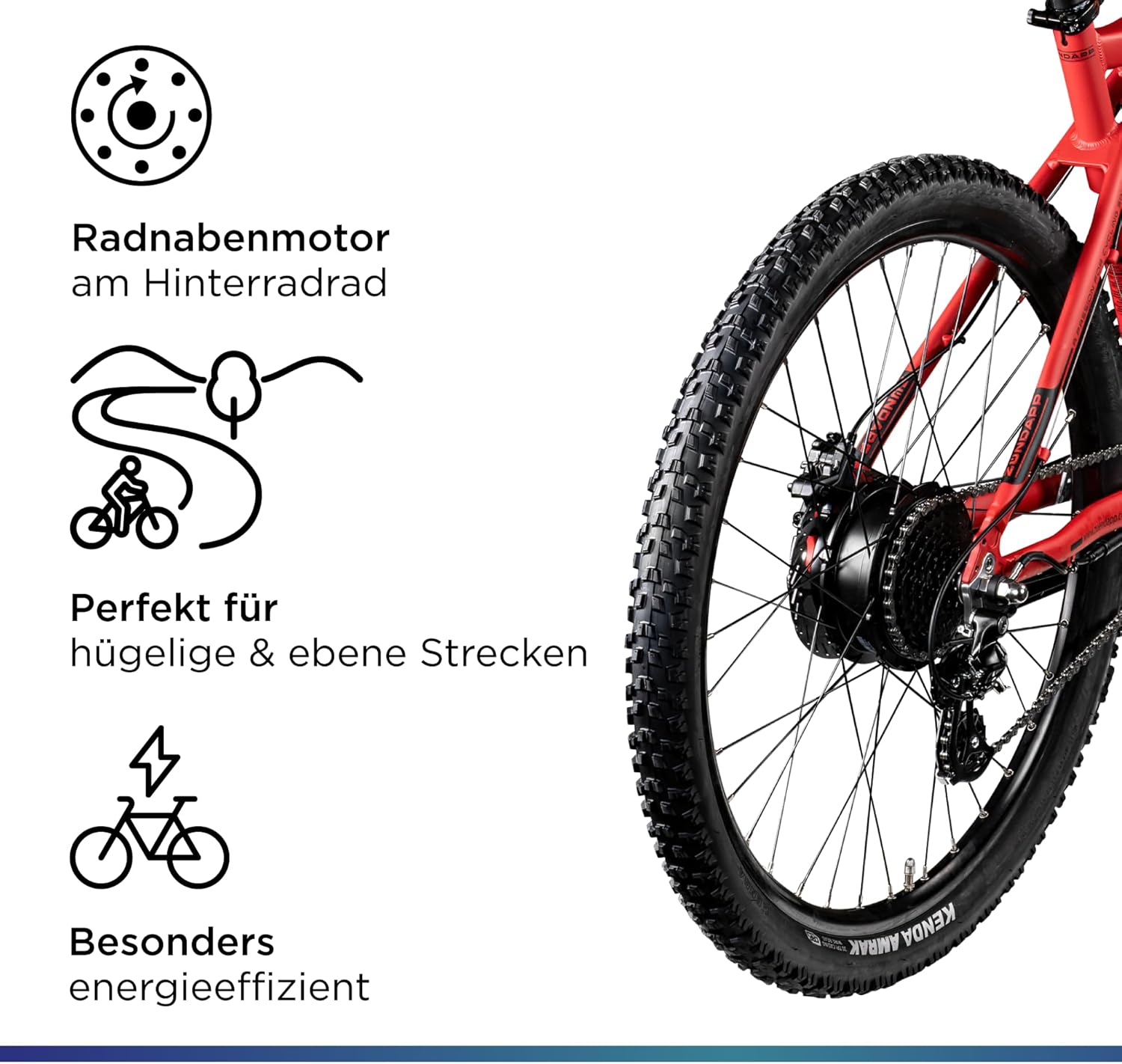 Close-up of the rear wheel showing the hub motor