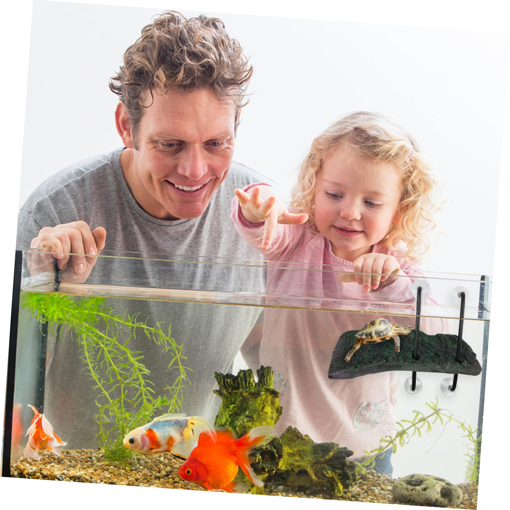 Yardwe 3 Pz Piattaforma di Sollevamento per Tartarughe Piattaforma Decorazioni per acquari petg terrario Tartarughe Accessori Tartarughe d'Acqua Arredamento dell'acquario