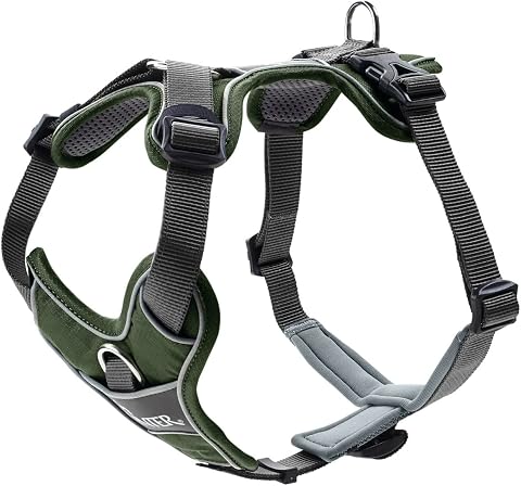 Hunter Hundegeschirr, Grün/Grau, 45-56 cm