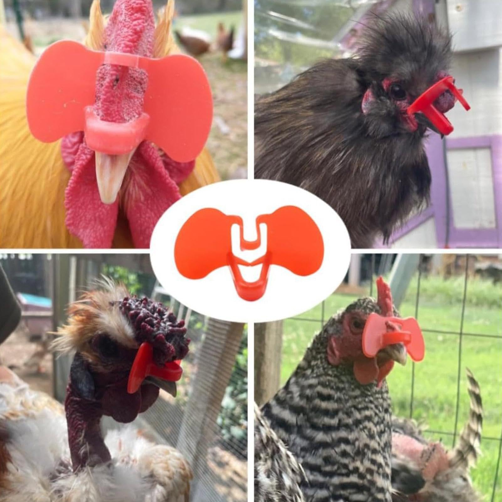 Chicken Eye Blinders – Lunettes anti-picage de poulet | Lunettes anti-picage de faisan | Lunettes de prévention de la volaille avec pince pour poule de coq