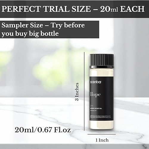 Miniatura 3 de Juego de aceites esenciales inspirados en perfumes, 3 aceites difusores de 0.7 fl oz con notas florales y amaderadas, mezclas de fragancias de