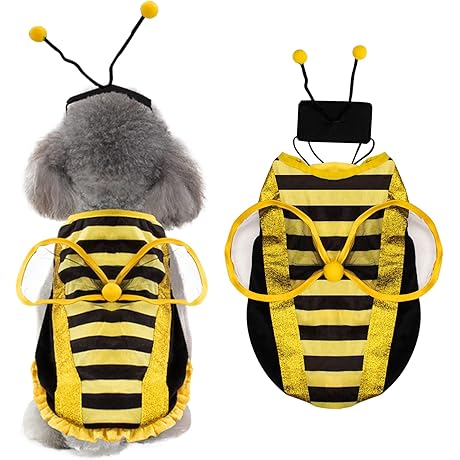 Enrobing Your Canine Companion in a Bumble of Delight: The Dog Bee...