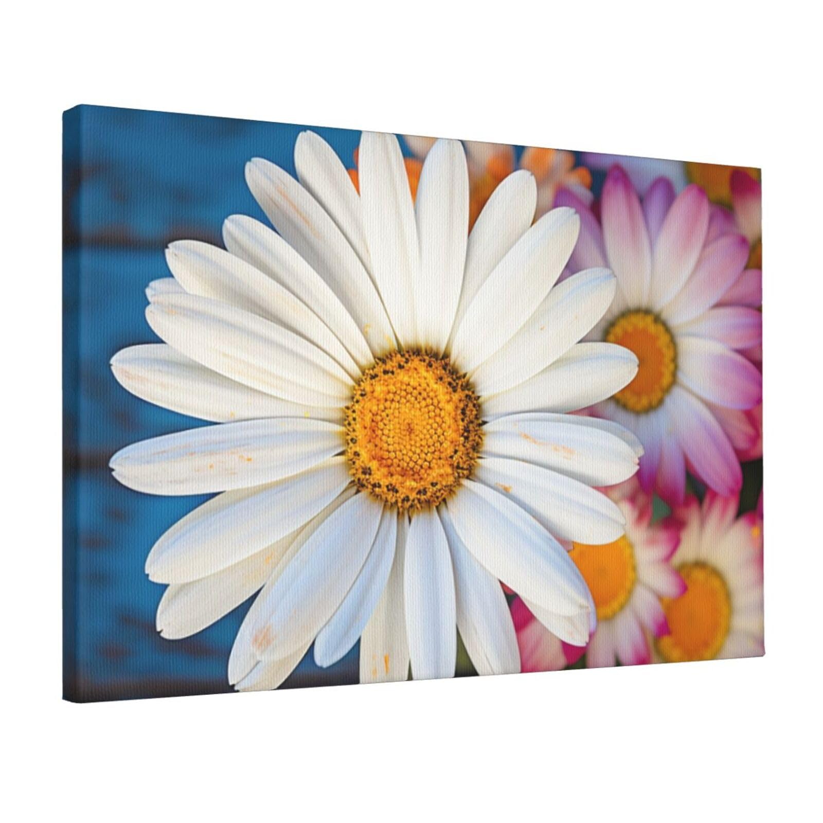 Canvas Wall Art for Living Room Wall Decor 12"x18" Modern Artwork Painting Pictures Hanging Canvas Prints Barberton daisy Aesthetic Wall Art for Bedroom Bathroom Office Wallart Decor