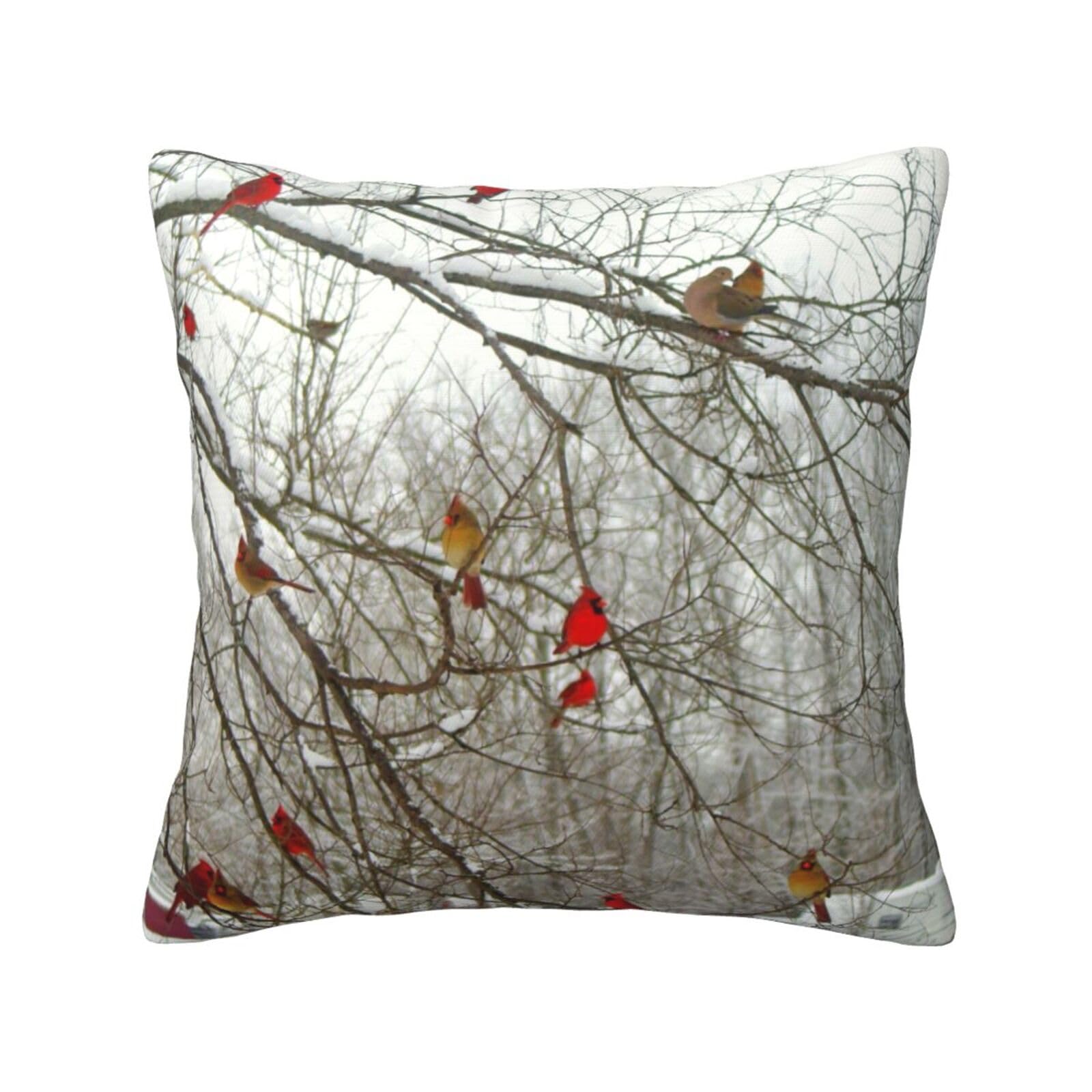FFSHKOWE Birch Trees Decorative Throw Pillow Cover Double-Sided Printed Cushion Cover for Sofa Couch Bed Chair 30 x 30cm