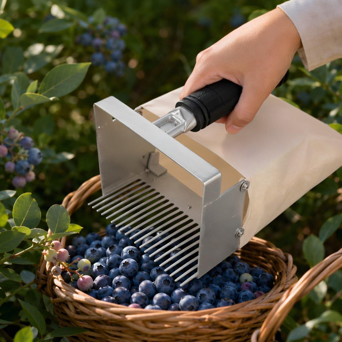 Râteau Cueilleur de Bleuets Peigne, Récolte Jardin Légère