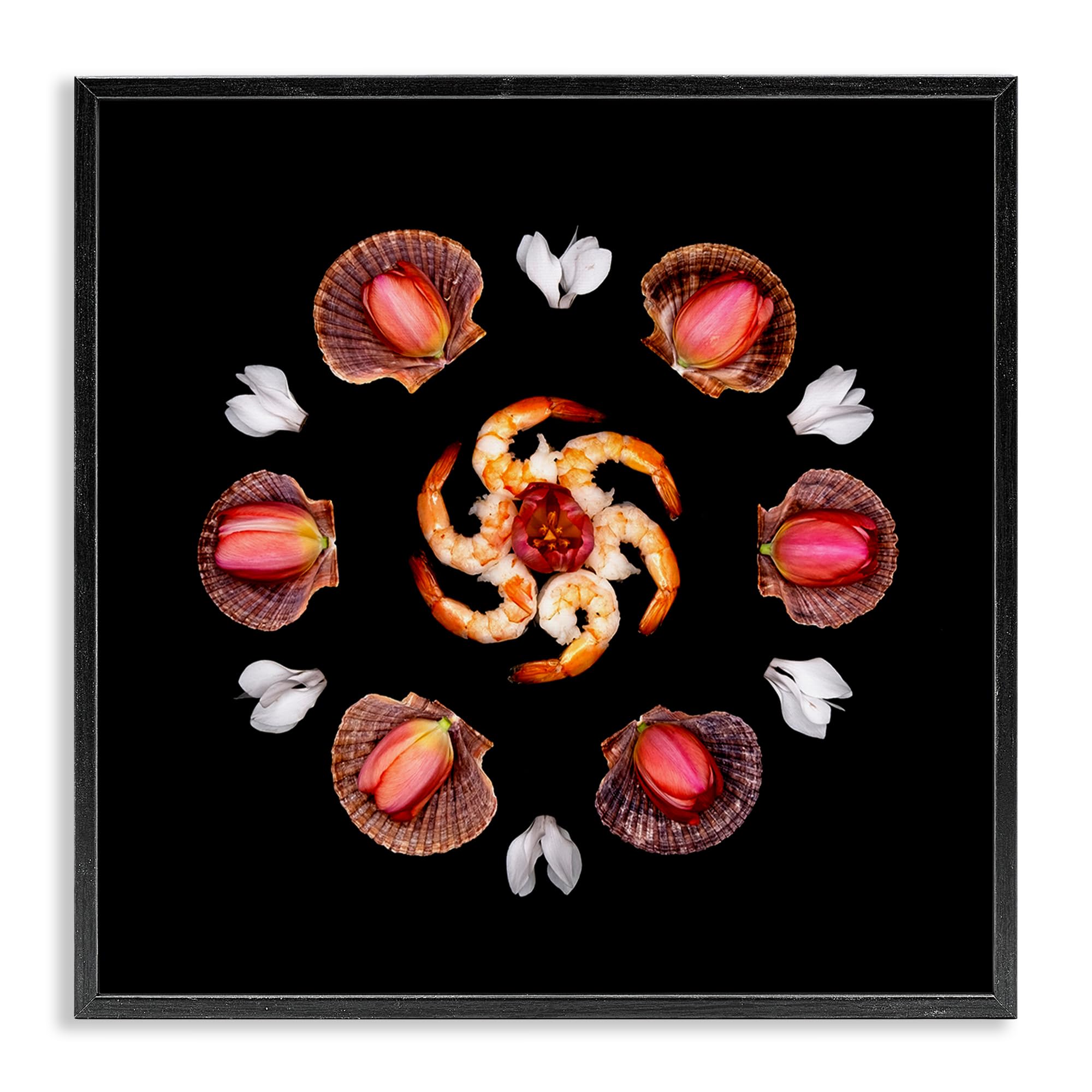 Stupell Industries Symmetrical Shell And Coral Wreath 'Seashells & Tulips Symmetry', Framed Giclee Art, Black, 24 X 24 Inches, Easy To Hang And Sturdy, Made In Usa, By Beth Adoette