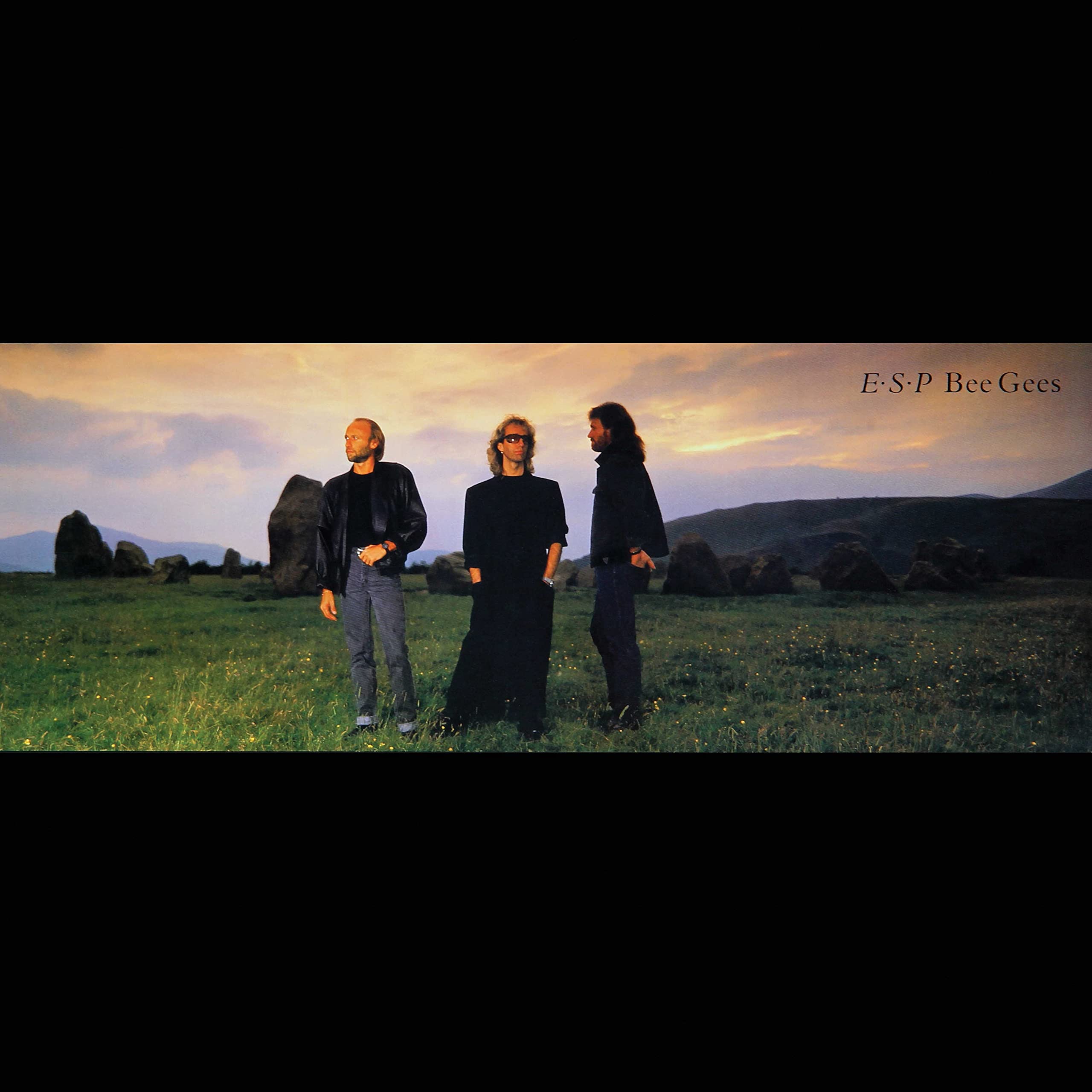 【中古】 Bee Gees ビージーズ / Spick And Span BEE GEES - Spick & Span - Amazon.com Music