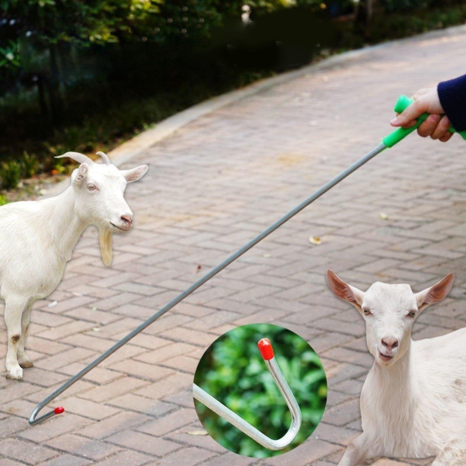 Gancho para Ovejas Herramienta de Sujeción Equipo Capturador Gancho Resistente Ergonómico Hecho de Hierro Compatible con Granjas Hogares Veterinarios, 90cm