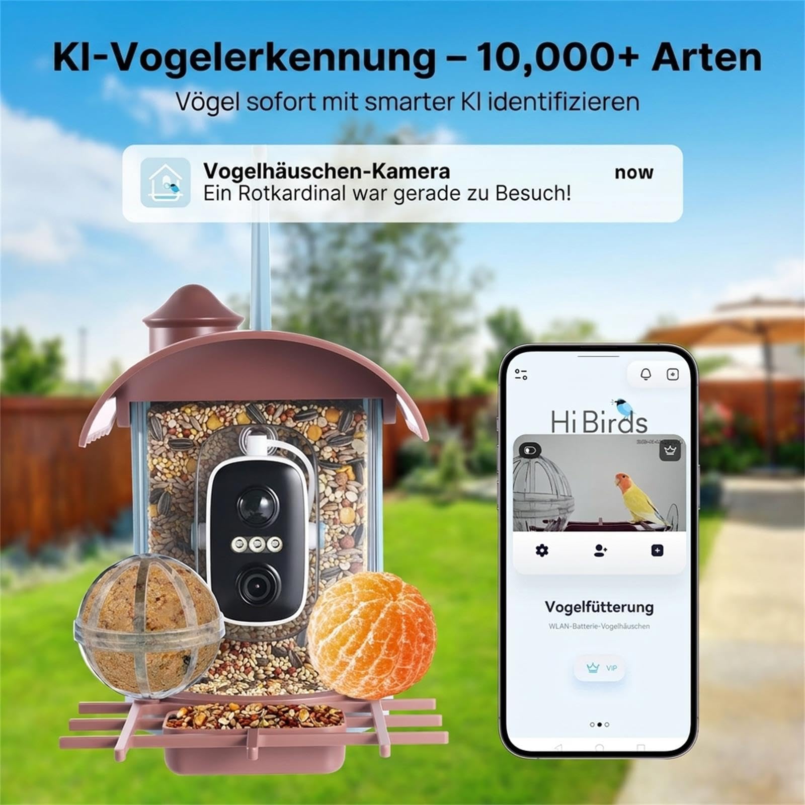 Vogelhaus mit 4MP Kamera Vogelfutterhaus Solar Vogelfutterspender & Futterstelle: Video/Fotoaufnahme, KI Identifizierung, Bewegungserkennung, Sofortiger Benachrichtigung, Nachtsicht, 2.4GHz WLAN