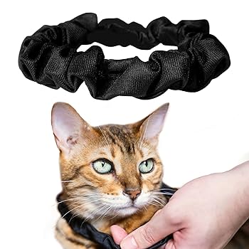 Catlog 第2世代 本体 ＋ シュシュタイプ 首輪セット Mサイズ Amazon | 猫の練習用首輪 超軽量 ハゲにくい かんたん着脱 首輪