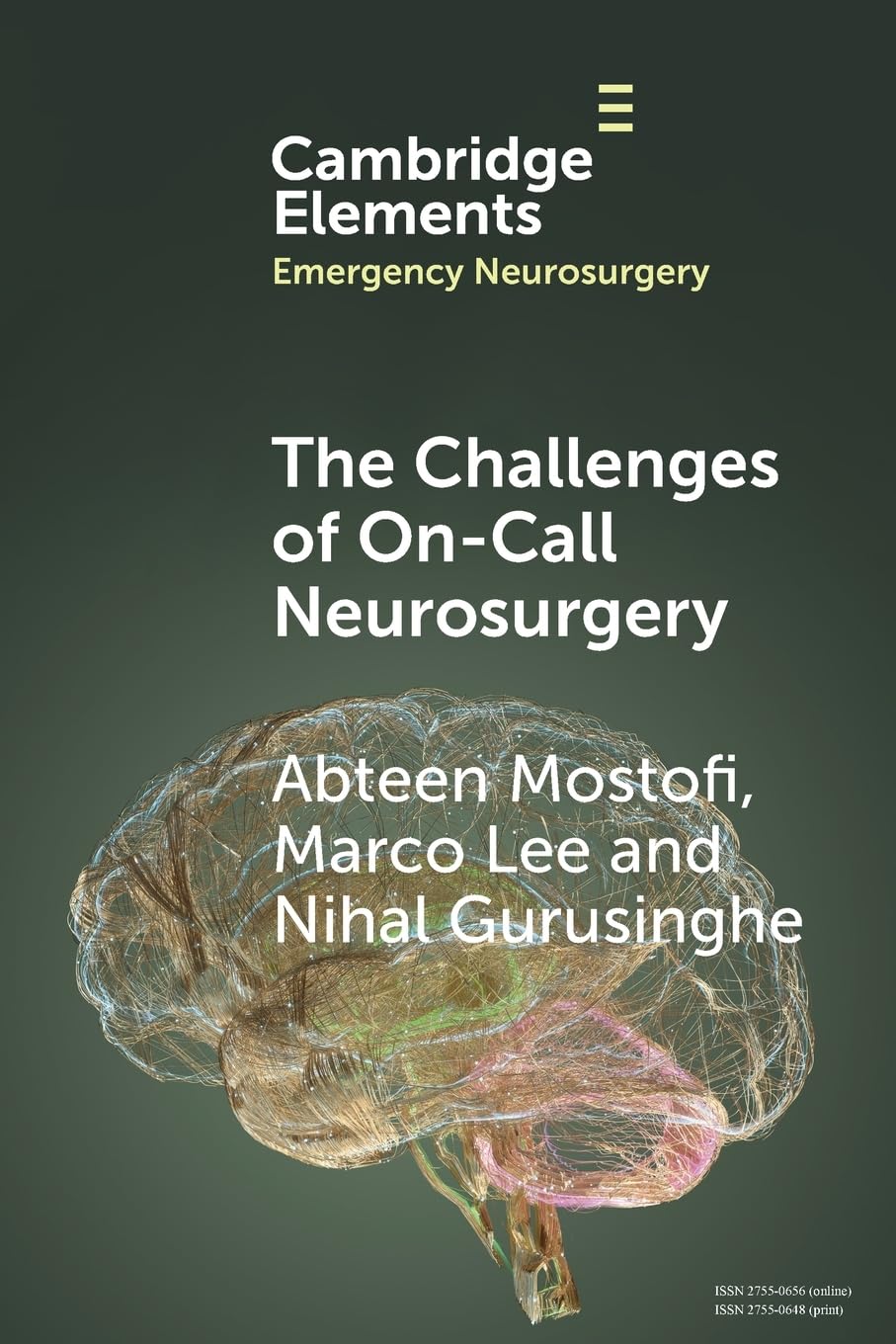 The Challenges of On-Call Neurosurgery (Elements in Emergency Neurosurgery)