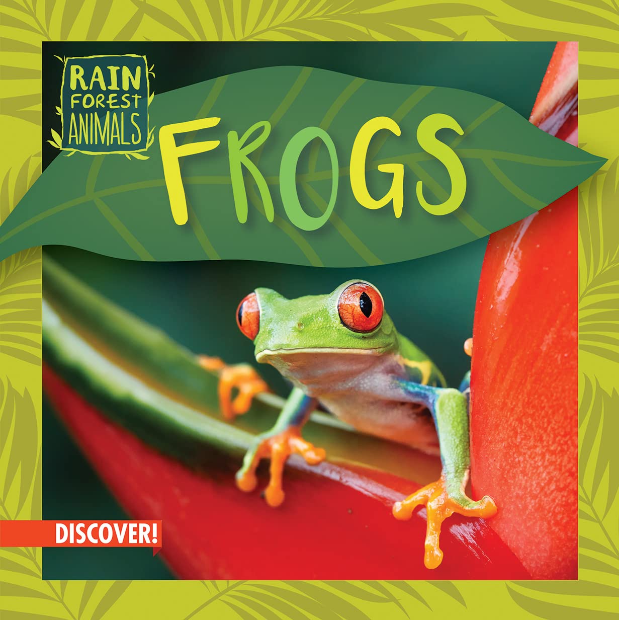 Frogs (Rain Forest Animals) Library Binding – 30 July 2023