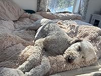 Review Image by rhontap