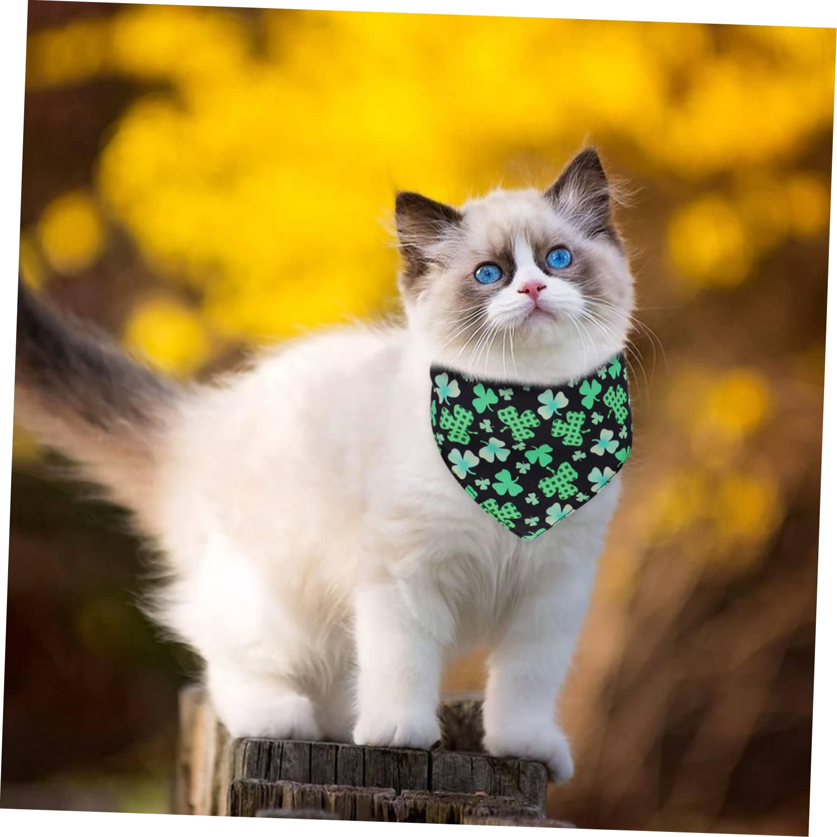 Angoily 12piezas Bandanas Creativas para Mascotas Bufandas Adorables para Perros y Gatos Accesorios De Fiesta De San Patricio Atractivas y Cómodas