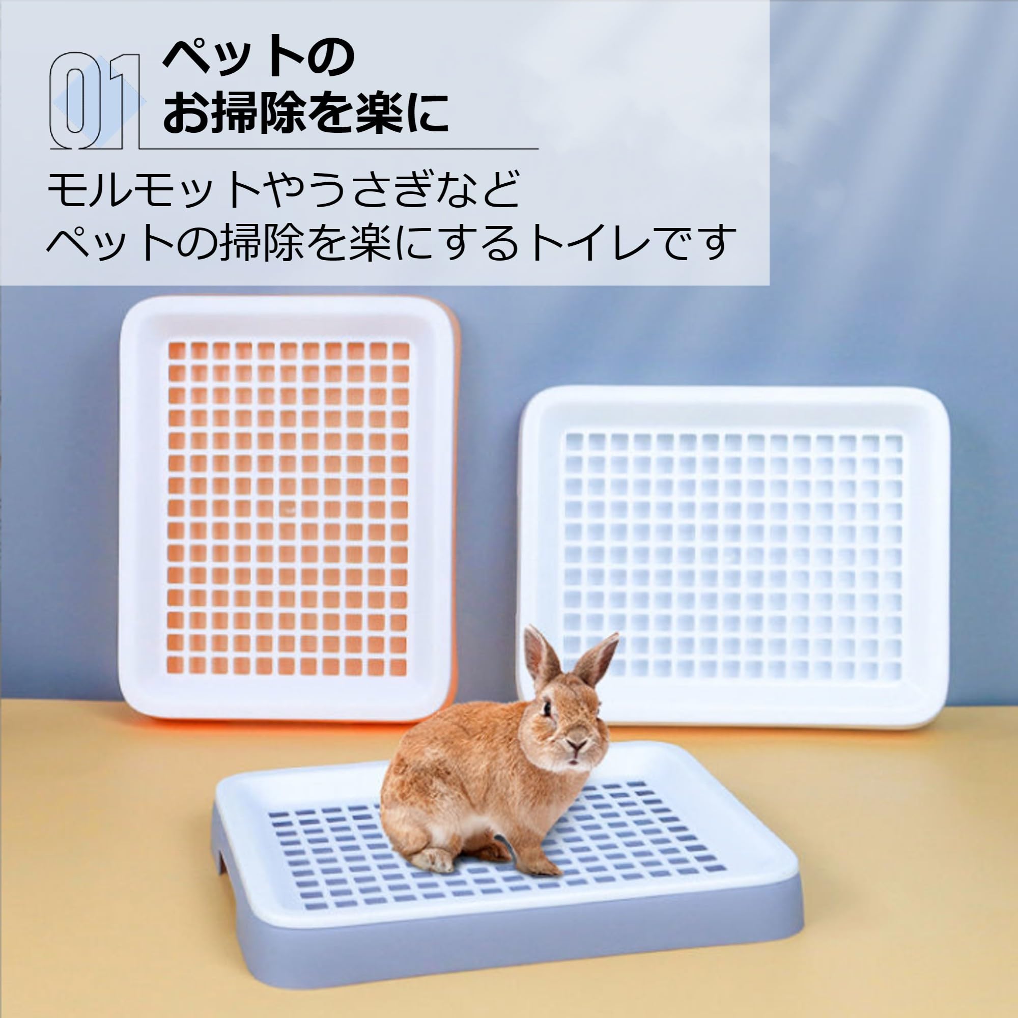 Amazon | Asdays モルモット トイレ うさぎ 小動物用 トイトレ