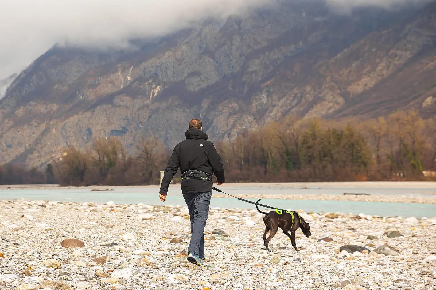 Cintura dog-trekking