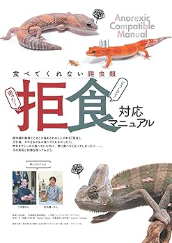 REP FAN レプファン vol.22 (SAKURA MOOK) | 笠倉出版社 |本