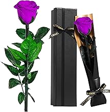 Eternal Purple Rose Gifts for Women - Preserved Roses with Real Stem - Long-Lasting Fresh Flowers Gift for Her, Women, Girlfriend, Wife, Mum, Romantic Home Decor Anniversary Valentine's Day Present​