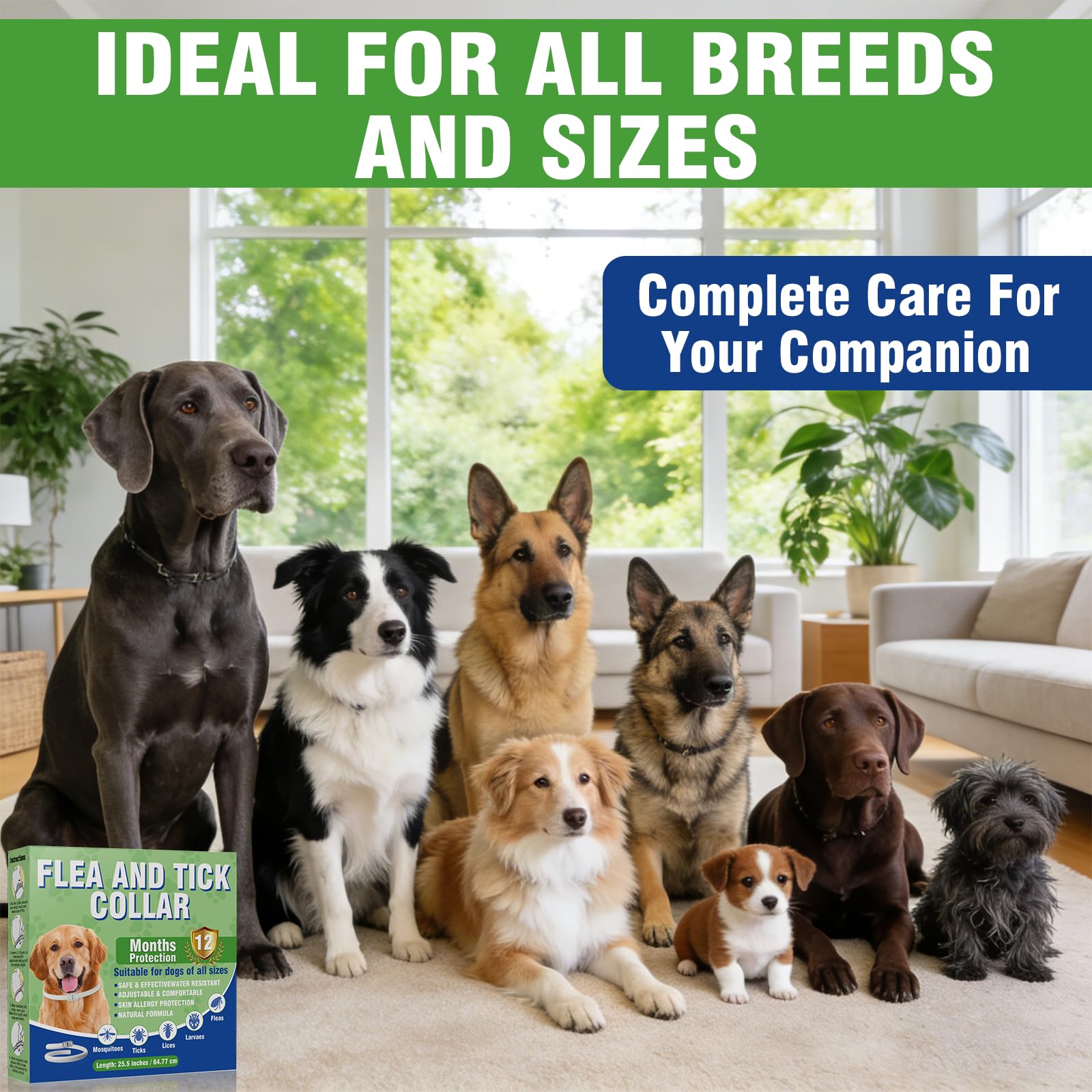 Collier Anti Puces pour Chien, Collier Anti Puce Chien Naturel, Ajustable et Doux pour la Peau, Protection Efficace Jusqu'à 12 Mois, Imperméable, Adapté aux Chiens Petits, Moyens et Grands, 65cm - 5