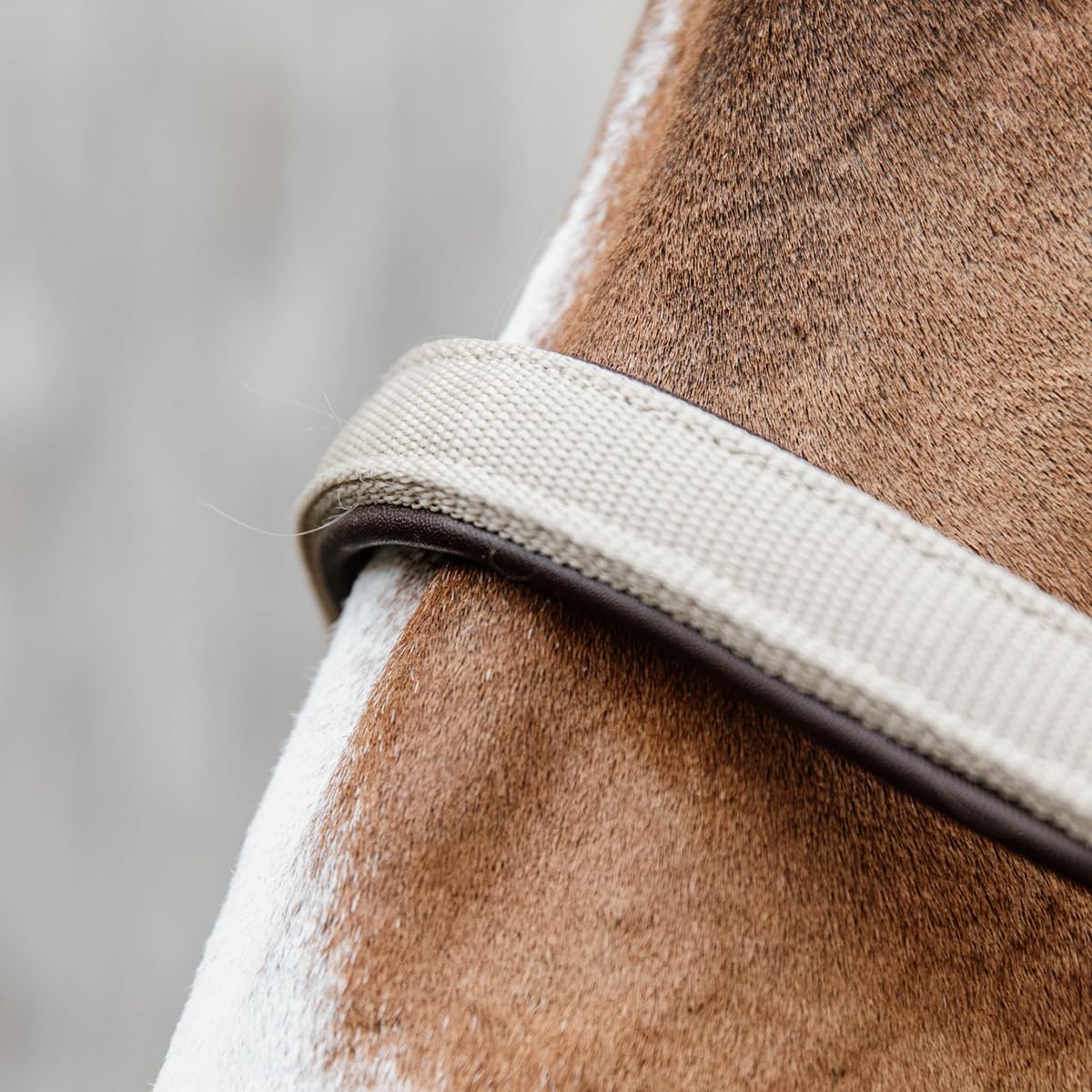 Kentucky Licol pour Cheval Anatomique Nylon