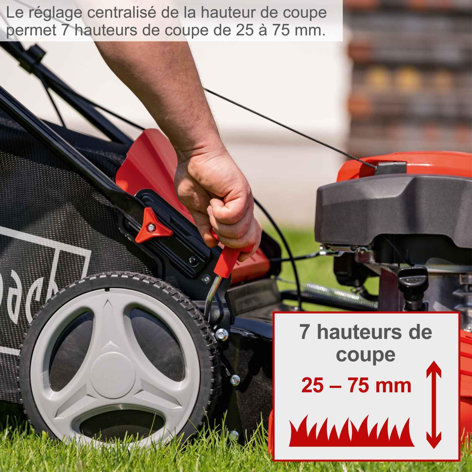 Scheppach Tondeuse Thermique autotractée MS225-53 - Moteur 6 CV / 4,4 KW