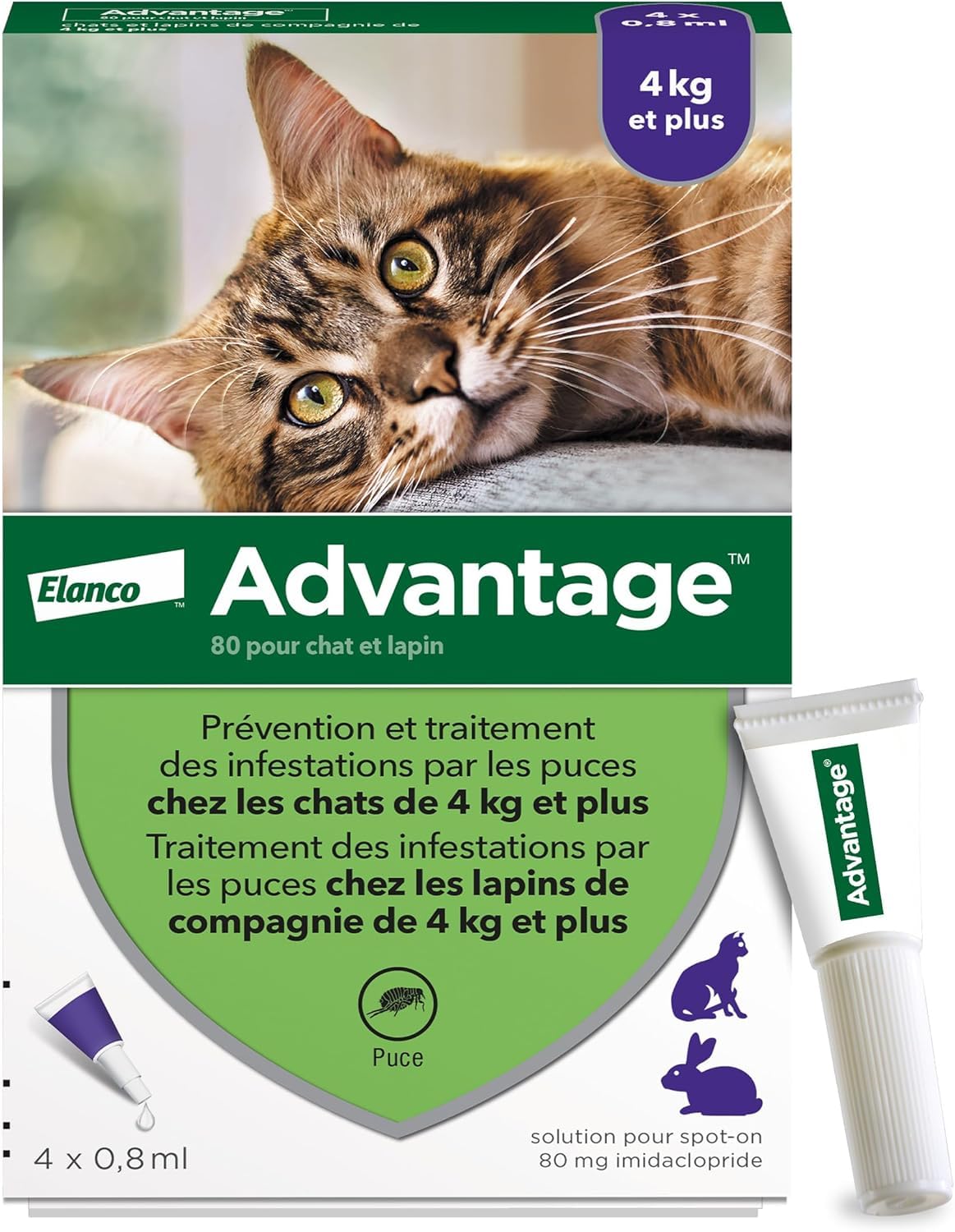 Advantage Chat & Lapin de plus de 4 kg – Pipettes anti puces chat pour prévention des infestations – Traitement anti puces lapin pour une protection en continu pendant 3 à 4 semaines – 4 x 0,​8 ml