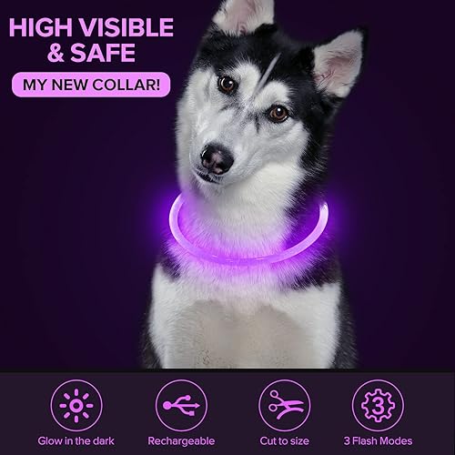 Miniatura 3 de Colaseeme Collar de perro con luz LED, 1 unidad, recargable por USB, TPU brillante, collares básicos de seguridad para perros grandes, medianos y