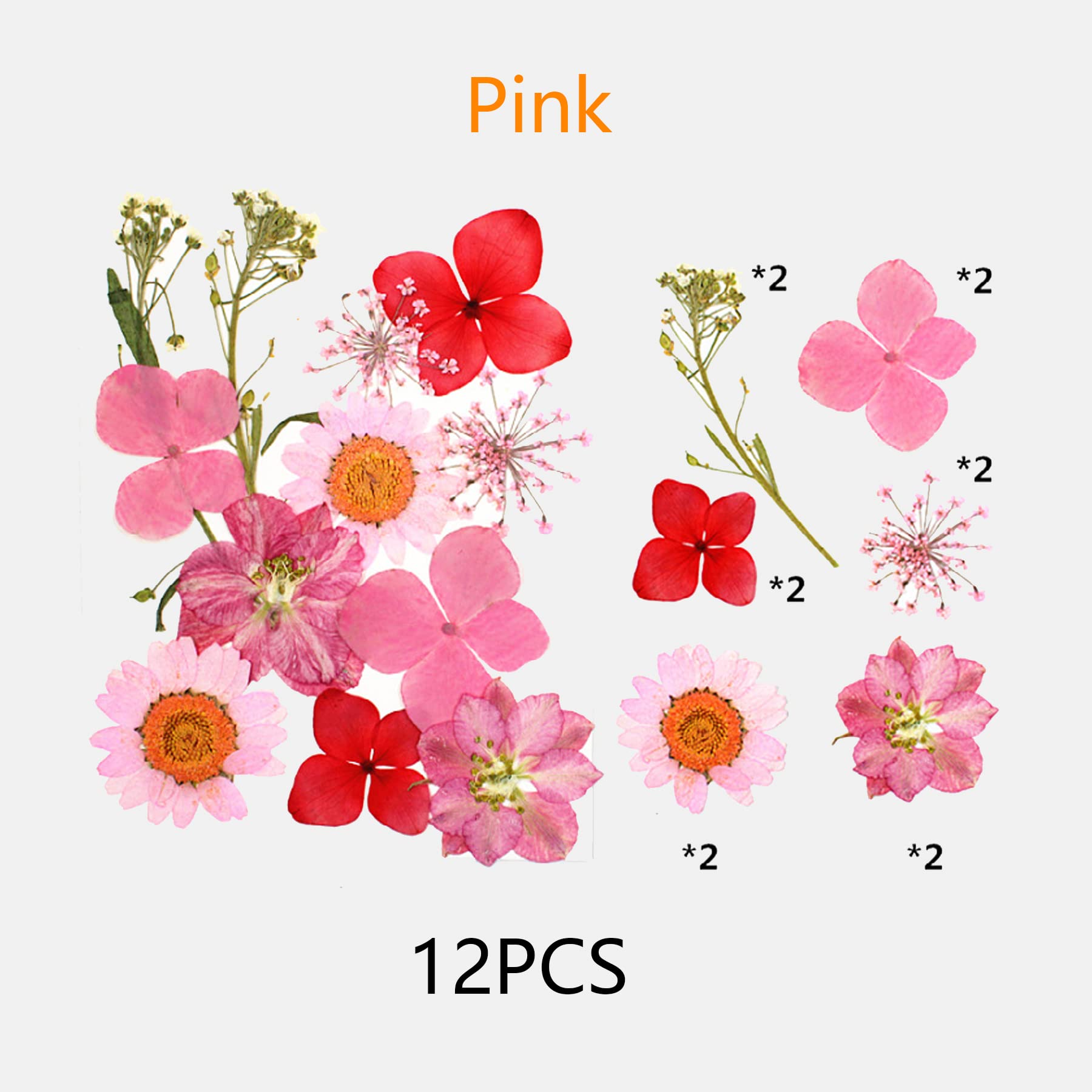 Fleurs Pressées Naturelles Blanches - Lot De 66 Pièces - Pour Création Résine, Bijoux, Scrapbooking, Nail Art - 3