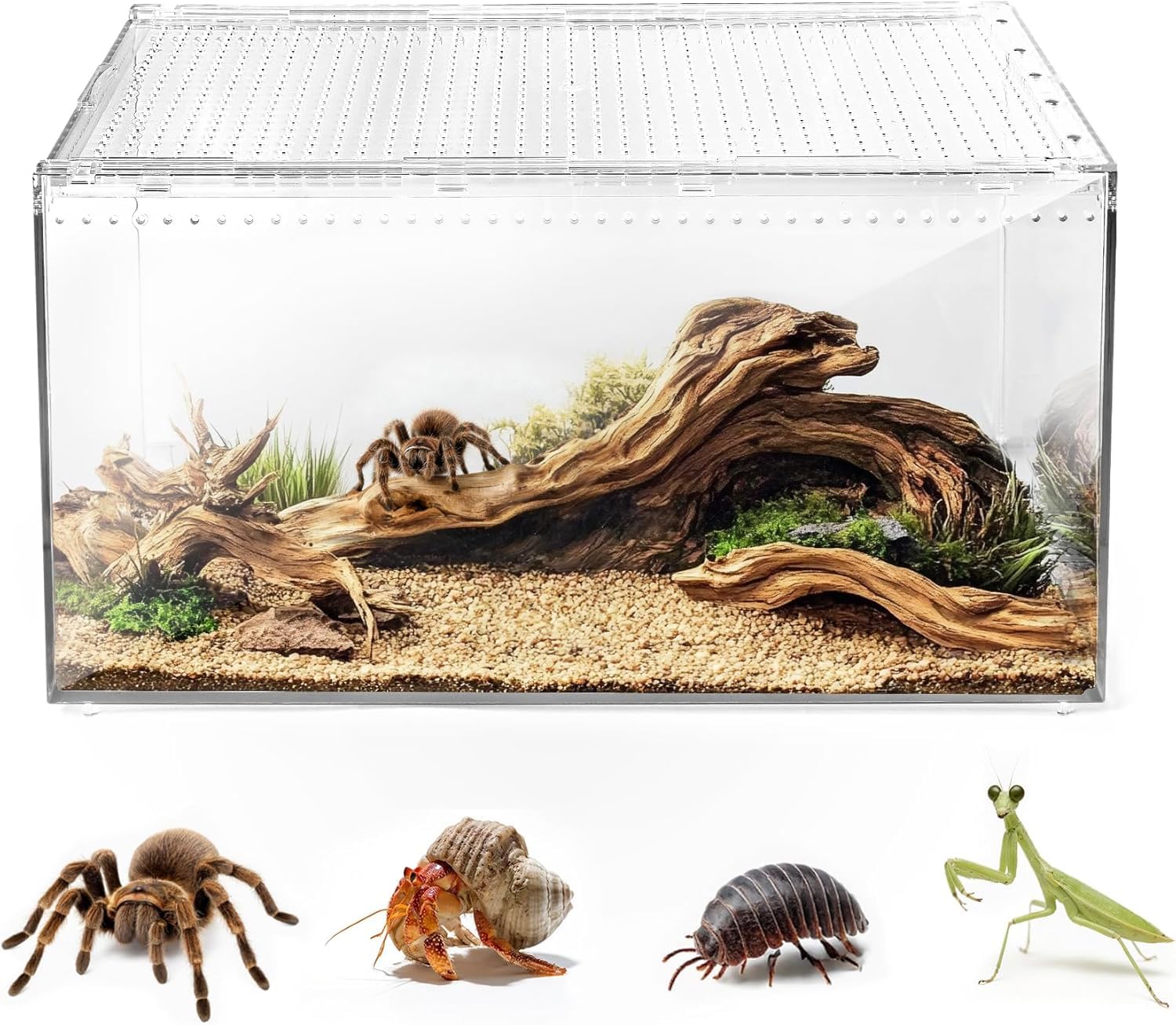 Magnetyczne pudełko do terrarium gadów, akrylowe, domowe, terrarium, układane w stos, pudełko na karmienie dla pająków, skorpiona, chrząszczy, rogatych żabek (30 x 20 x 15 cm)