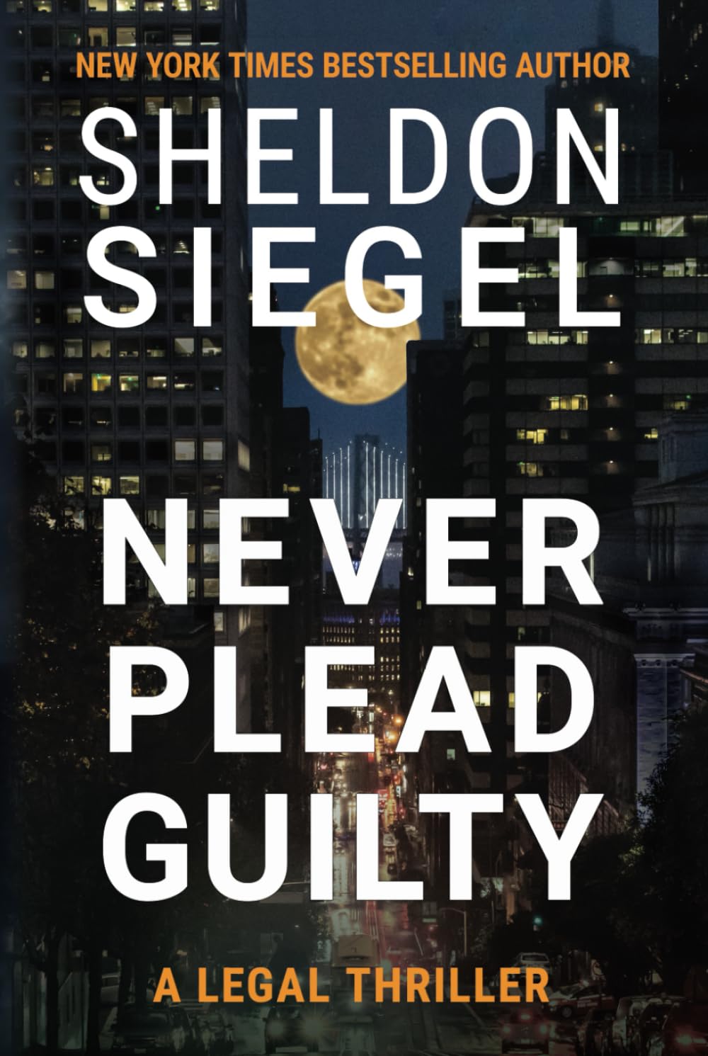 Never Plead Guilty (Mike Daley/Rosie Fernandez Legal Thriller)