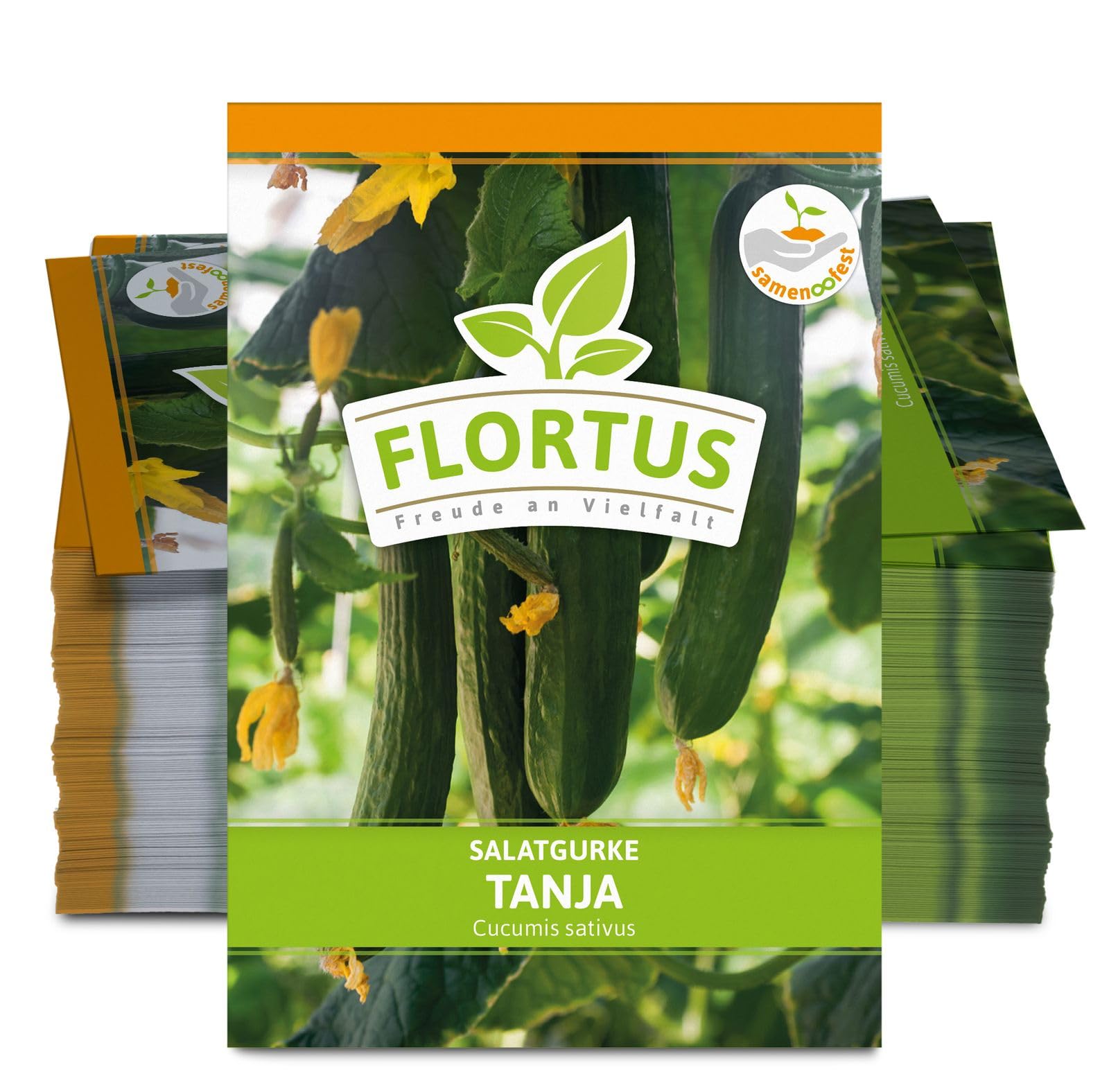 FLORTUS 2000-0479-100x Salatgurke Tanja (100 Stück) (Salatgurkensamen)