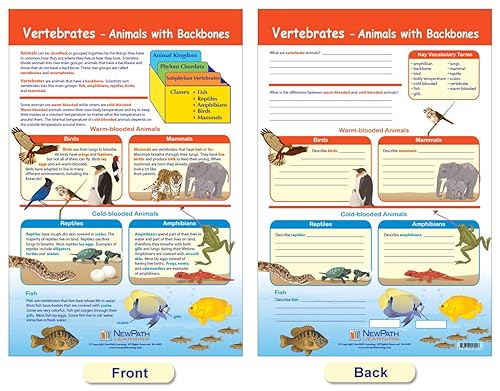 Miniatura 6 de NewPath Learning - Tablón de anuncios 94-3502 The Six Kingdoms, 12 x 18 pulgadas, a todo color, juego de 5
