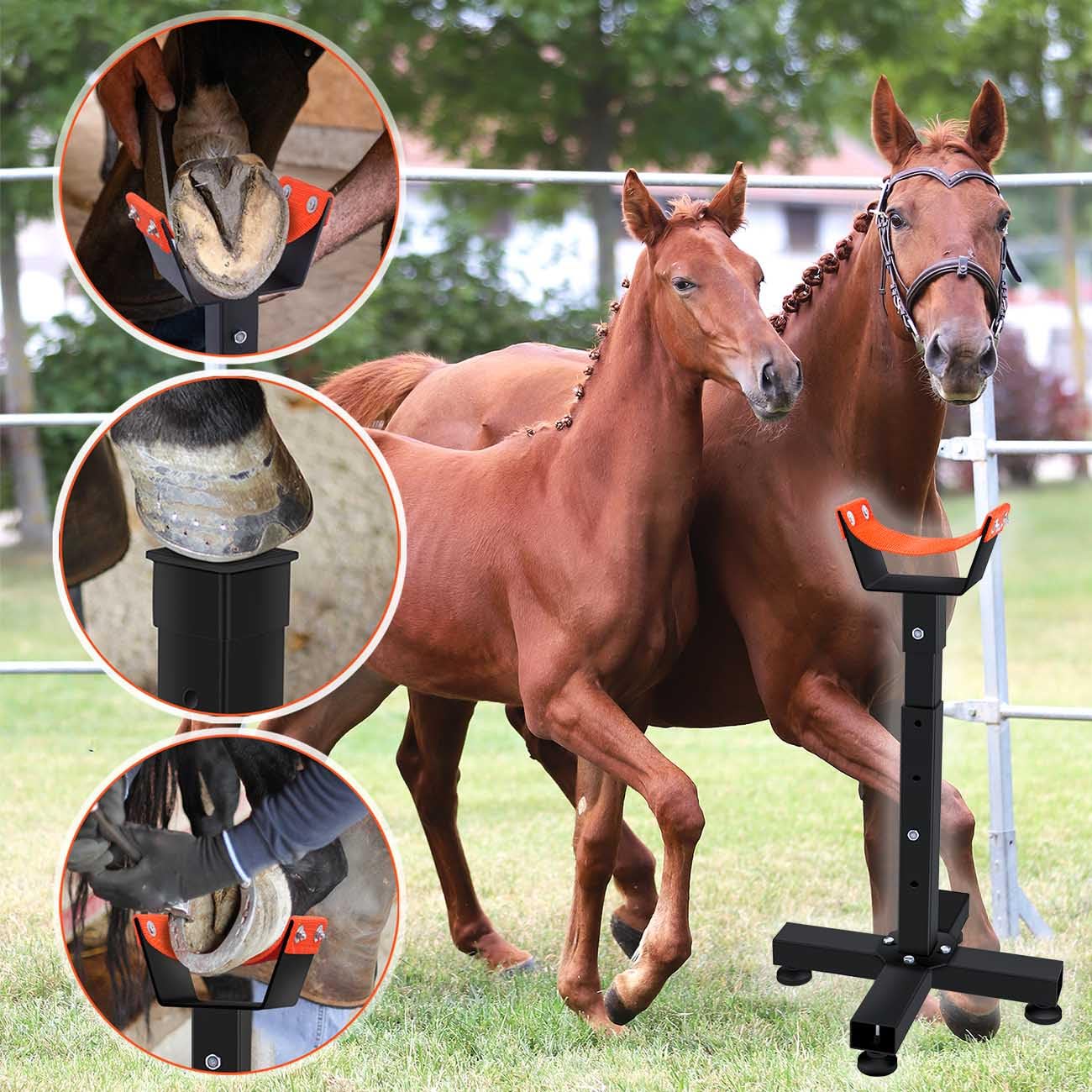 Support De Sabot Standard Pour Chevaux - Outil De Coupe De Chaussures - Personnalisable Avec Logo Ou Nom - Neuf