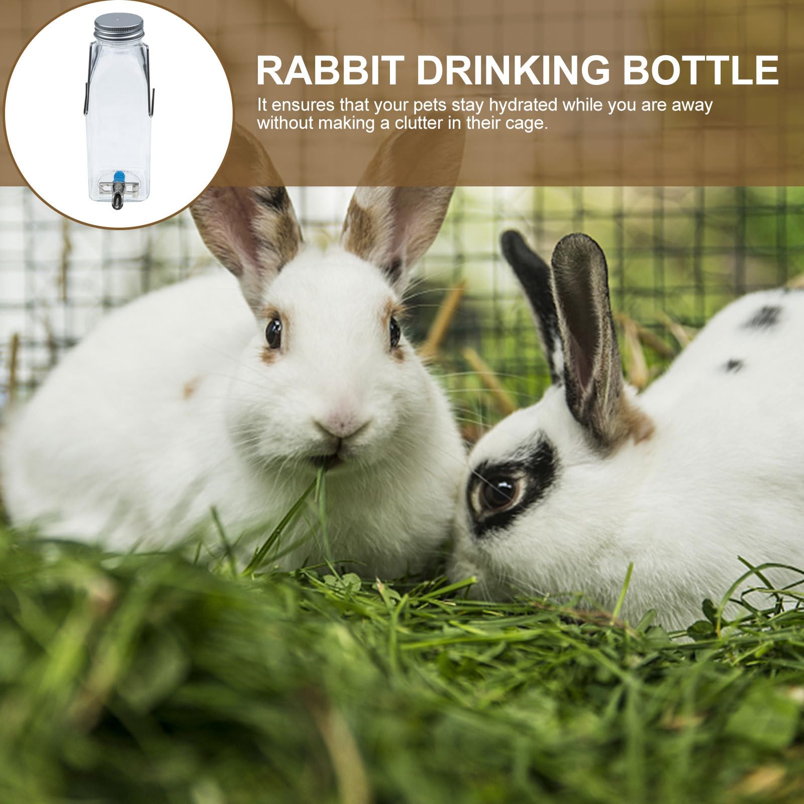 SOLUSTRE Hängende Wasserflasche mit Sicherem Bissschutz für Kleine Haustiere 350ml aus Glas und Platzsparendem Wasserspender für Kaninchen und Kleintiere