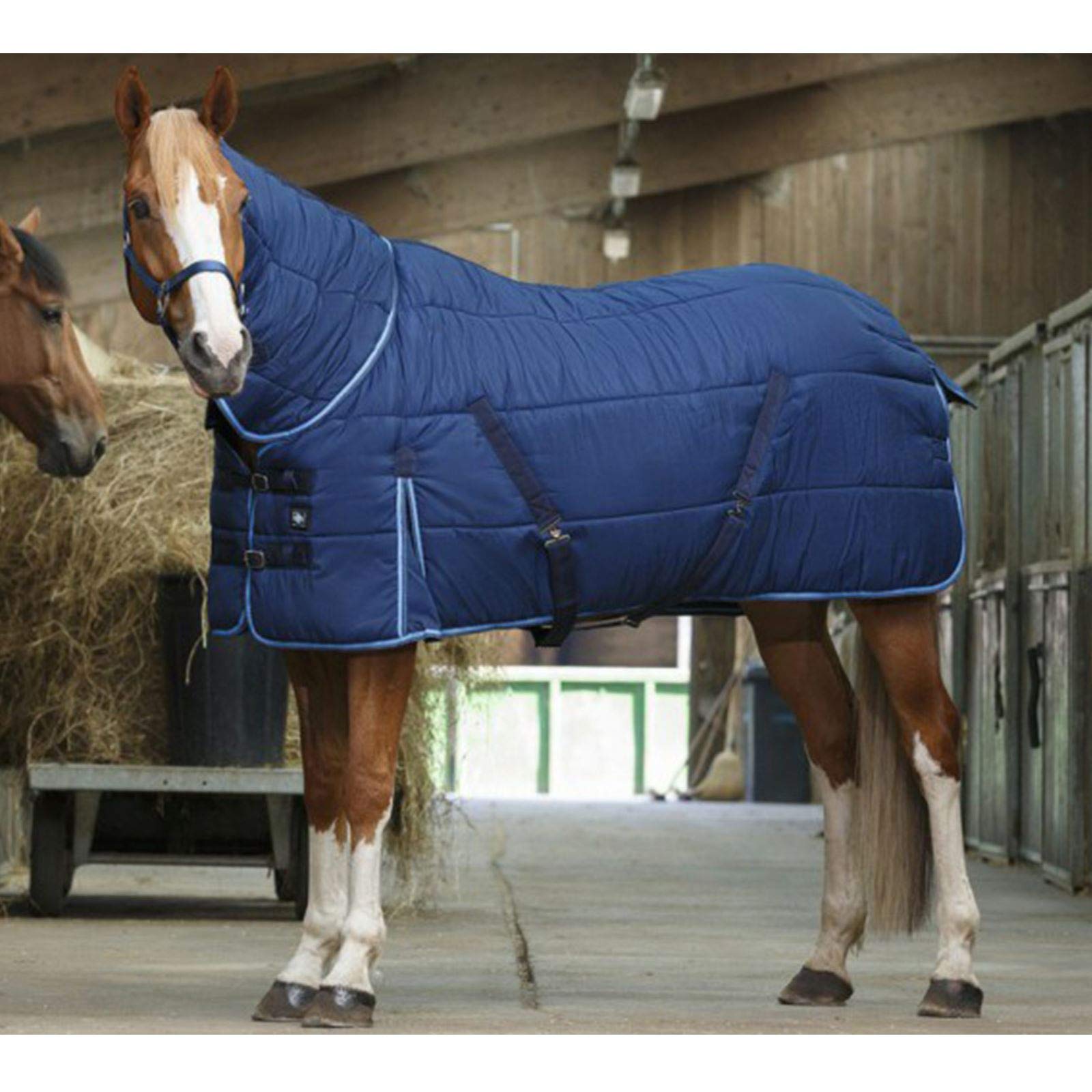 Couverture Combo RIDING WORLD 300g pour cheval de taille 5.9 protection d'hiver