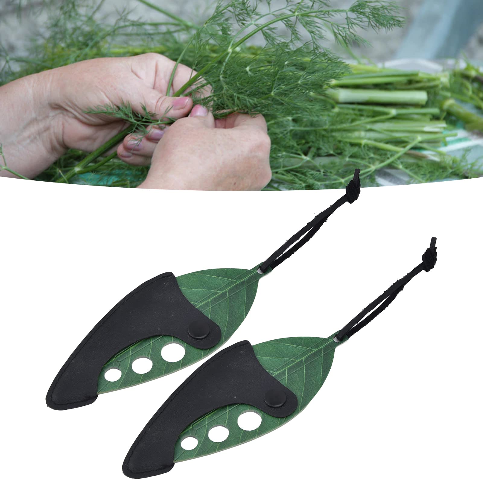 Épluche-herbes En Acier Inoxydable à 9 Trous - Pour Effeuiller Thym, Romarin, Basilic, Blettes