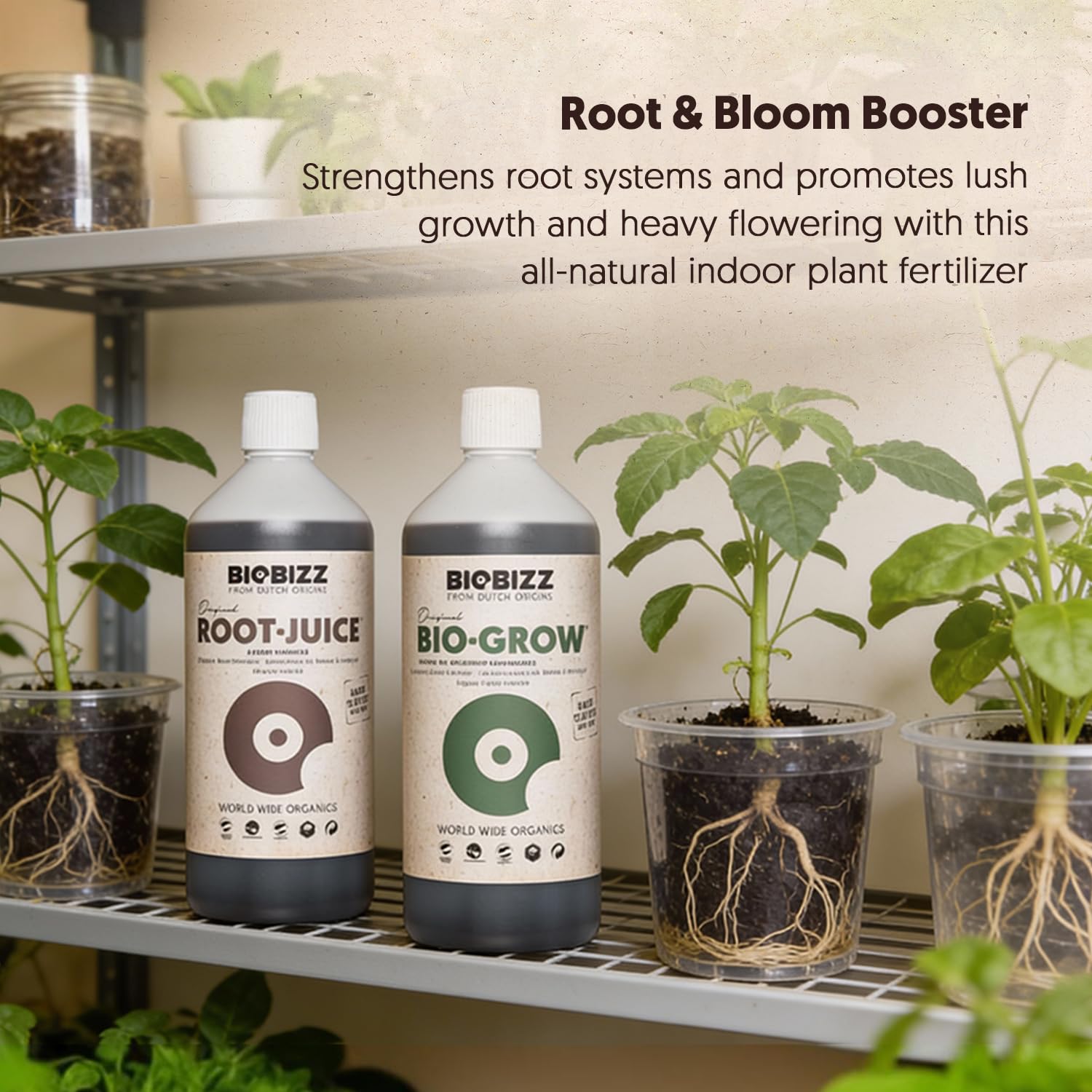 Amazon.com : BioBizz All-Pack Indoor - Complete Organic Fertilizer