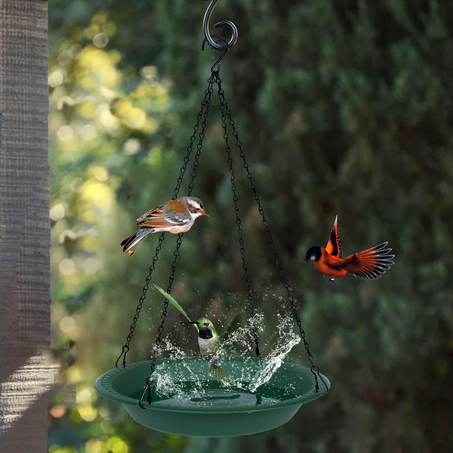 Vogeltränke Zum Aufhängen – 23,4 Cm Schale Mit 40 Cm Kette, Für Garten & Balkon, Als Futterspender Oder Wasserstelle