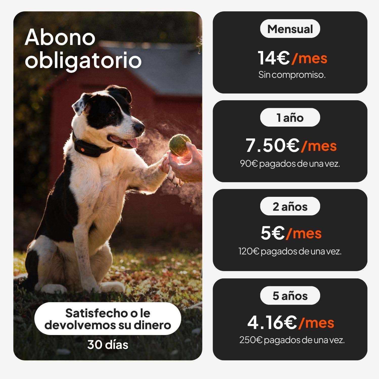 Weenect Dog XT - Nuevo Collar GPS para Perros | Antena XL | Impermeable | Collar Azul Ultra-Resistente Integrado Julius-K9 | Garantía de por Vida | Suscripción requerida
