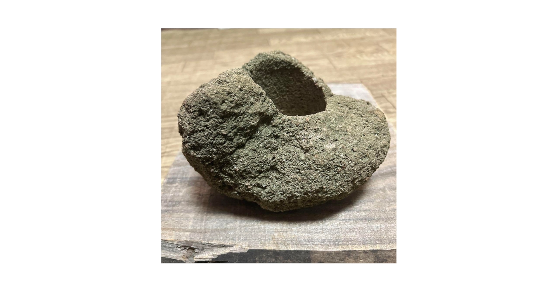 岩石の鉢　山渓鉢 山渓鉢 溶岩石 雲山石 希少 一点モノ 苔 山野草 盆栽 多肉植物