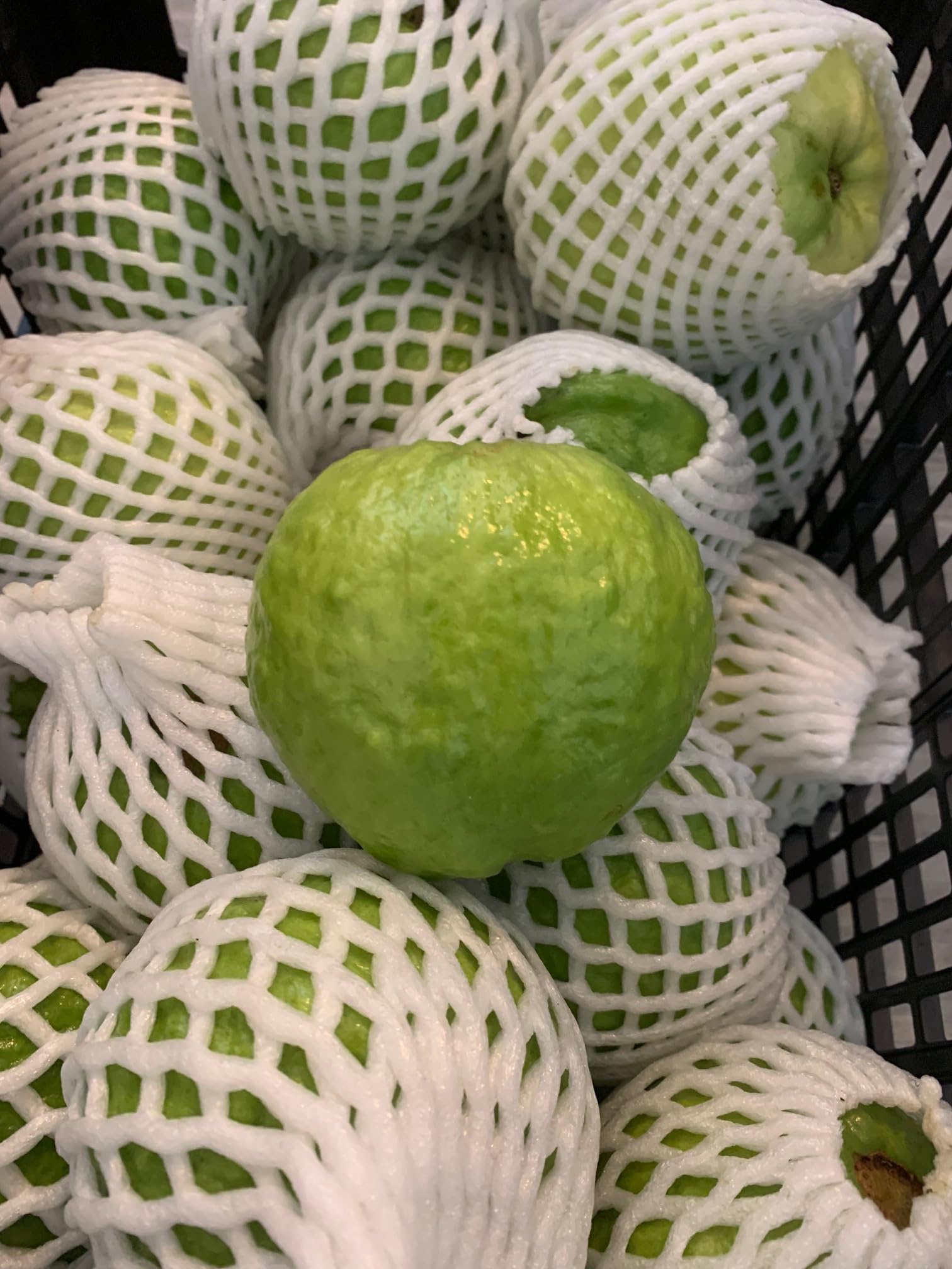 Fresh Thai Guava Fruits 10 lbs