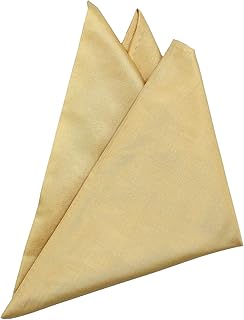 Royal Silk Fine Beige Silk Pocket Square 100% Silk â€“ Soft Mulberry Silk - Large 16â€ Square